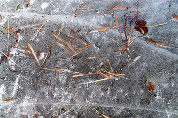 Natural winter and spring background. Ice background with frozen twigs and leaves