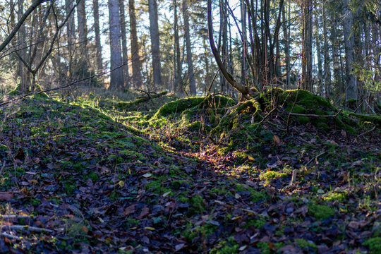 Wanderung rund um Wildenburg