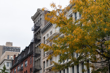 Row of Old Brick Apartment Buildings in SoHo of New York City with Colorful Trees during Autumn - obrazy, fototapety, plakaty