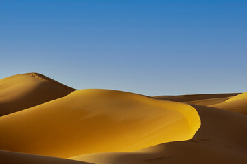 Fototapeta na wymiar landscape at sunset in sahara desert