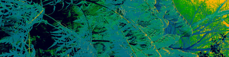 Fototapeta premium Green Flora Decoration. Dark Plant Print. Yellow