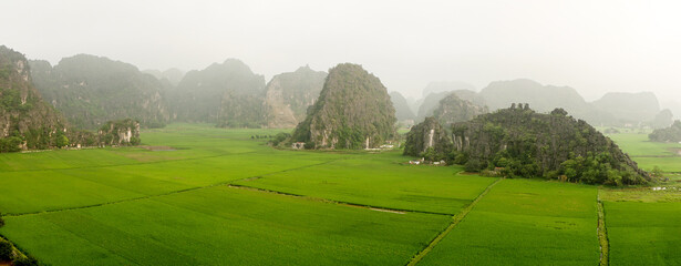 Lush green rice field landscapes and mountains near Ninh Binh in Vietnam.
