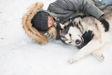 Alaskan malamute lying and hugging with woman in winter forest. close up.