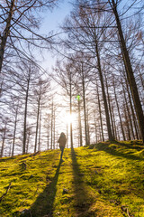 A young hiker walking in the Oianleku forest at dawn, in the town of Oiartzun, Gipuzkoa. Basque...