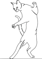 cat on hind legs