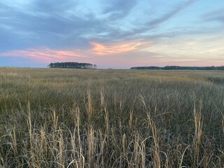 Ragged Island - Carrollton, VA