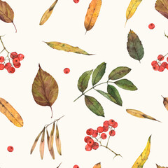 seamless watercolor pattern with autumn leaves and berries