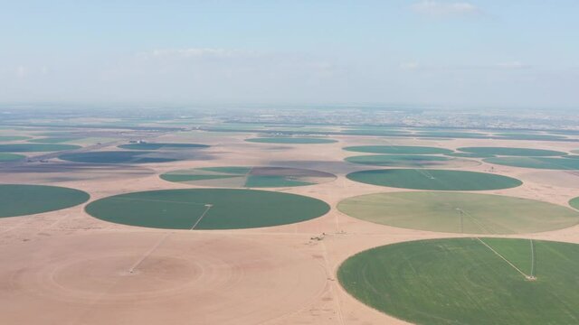 A view from a large field height in the form of a circle in Egypt. Growing and watering the fields