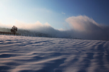 Sarezzano - Colli Tortonesi (AL)