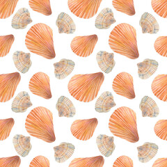 Seashells watercolor clipart pattern on white background