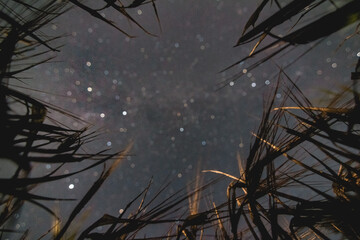 Looking up at night sky