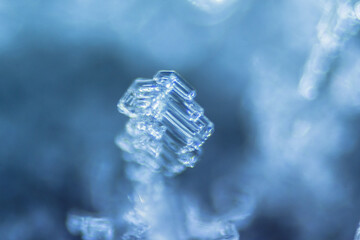 Snow crystal close up