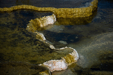 Ribbon in the Tidal Pool