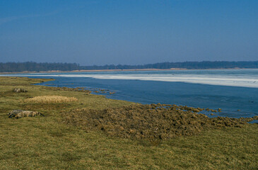 Lac de la forêt d'Orient, déversoir de Seine, Parc naturel régional de la forêt d'Orient, 10, Aube