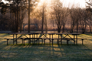 sunrise in the park