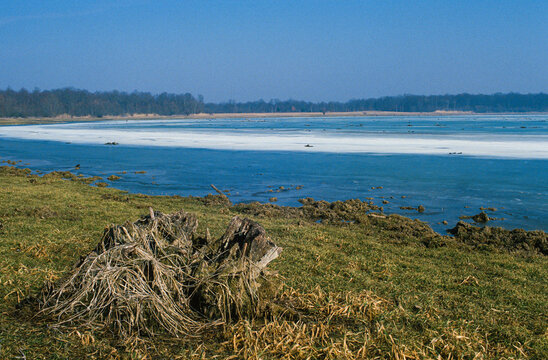 Lac de la for&ecirc;t d'Orient, d&eacute;versoir de Seine, Parc naturel r&eacute;gional de la for&ecirc;t d'Orient, 10, Aube, d&eacute;versoir de Seine, Parc naturel r&eacute;gional de la for&ecirc;t d'Orient, 10, Aube