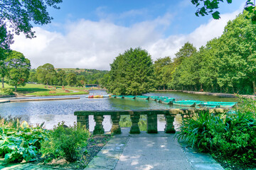 Fototapeta premium lake in the park