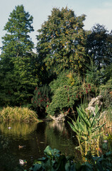 Jardins de Bagatelle, Paris , 75,