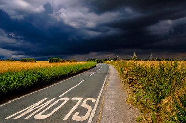 road in the field