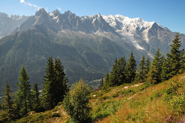 Fototapeta na wymiar The French side of the Mont Blanc massif.