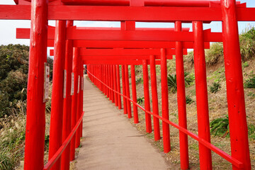 Fototapeta na wymiar Many torii gates of the Motonosumi shrine in Yamaguchi, Japan - 元乃隅神社 鳥居 山口県 日本 