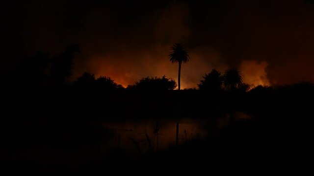 People watch massive fire burning at river bottom in Ventura, CA.