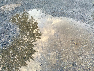 shallow rain puddle reflecting a cloudy sky with dirt and sand textures