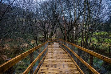 Naklejka na ściany i meble Scenic view of wooden path in Glendalough in rainy day of Autumn and winter. Concepts: season, outdoors, travelling, landscape