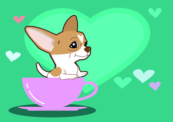 Draw vector character design Chihuahua dog