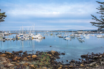 The Pacific Ocean coast in the city of Monterey in California. United States of America. Beautiful beach on a sunny day. Ocean landscape.