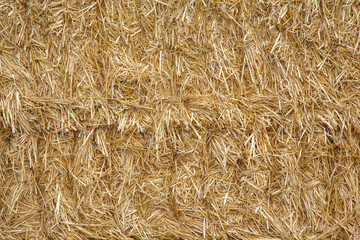 The pressed straw texture and background