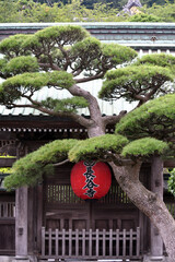 Tempio di Kamakura, Giappone