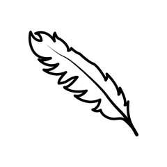 feather icon vector illustration design