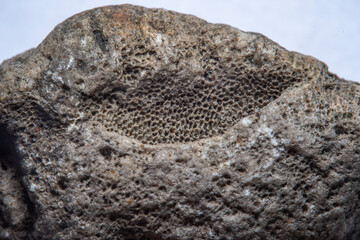 A piece of old stone with numerous microscopic holes on the surface. Blurred at high magnification...