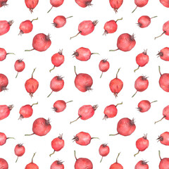 seamless pattern with red haw berries