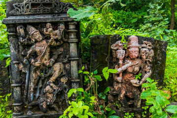 Various views of the Polo Forest, Gujarat