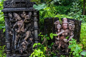 Various views of the Polo Forest, Gujarat