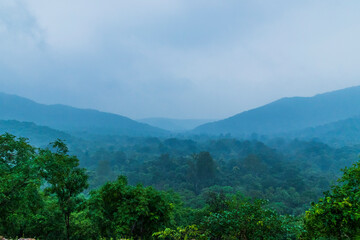 Various views of the Polo Forest, Gujarat