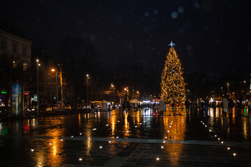 Fototapeta na wymiar Christmas tree 2021 near Lviv Opera house
