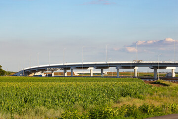Fototapeta na wymiar Construction of a bridge and a new road