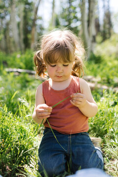 USA, Utah, Uinta National Park, Girl (6-7) holding blade of grass in forest