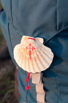 Colorful ornamental scallop shell of Santiage de Compostela route with ribbed surface and red lace hanging on rucksack
