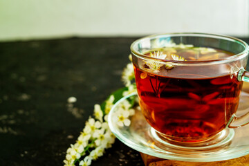 A cup of flower tea with spring cherry blossom on a black background. Copy space