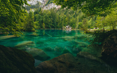 blue Water in the Blausee Switzerland with green trees in the background and fishes in the water,...