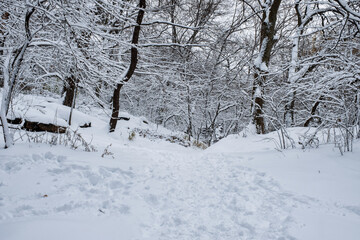 New York City - USA - Dec 17 2020: Winter Morning Snow Storm Hits Central Park New York City