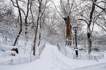 New York City - USA - Dec 17 2020: Winter Morning Snow Storm Hits Central Park New York City