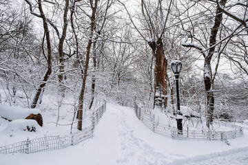 Obraz premium New York City - USA - Dec 17 2020: Winter Morning Snow Storm Hits Central Park New York City