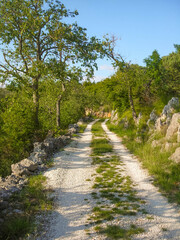 Country narrow gravel road with growing grass in the middle on a sunny day