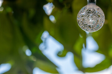 Spherical decorative solar garden lights hanging from the branches of a tree