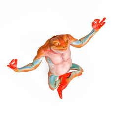 frog is doing yoga in isometric view